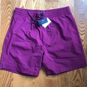 JCREW Tech Dock short